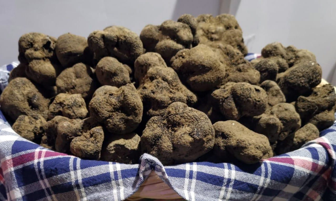 I sapori di una volta - Tartufo Nero pregiato (Tuber Melanosporum) - TARTUFI