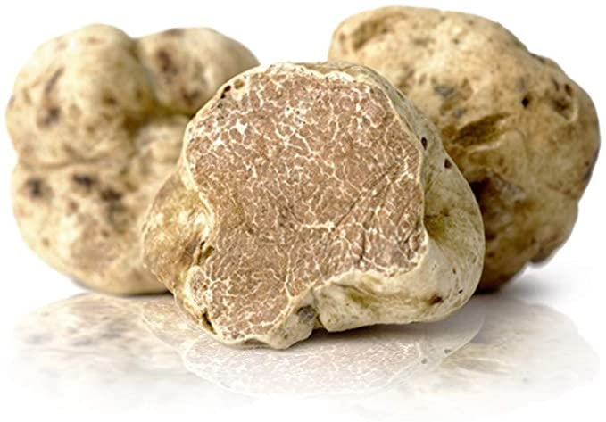 I sapori di una volta - Tartufo Bianco Pregiato - (Magnatum Pico) - TARTUFI