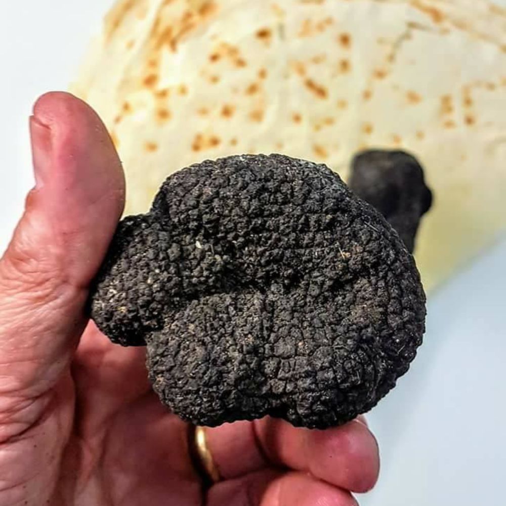 I sapori di una volta - Tartufo Nero Uncinato (Tuber Uncinatum) - TARTUFI