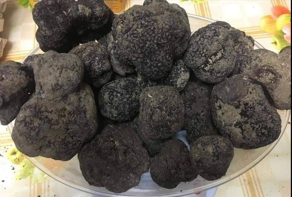 I sapori di una volta - Tartufo nero di Bagnoli Irpino (Tuber Mesentericum) - TARTUFI