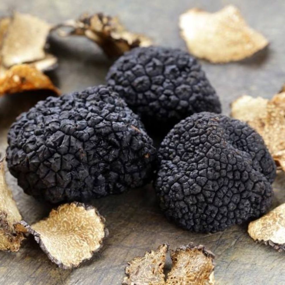 I sapori di una volta - Tartufo Nero Uncinato (Tuber Uncinatum) - TARTUFI