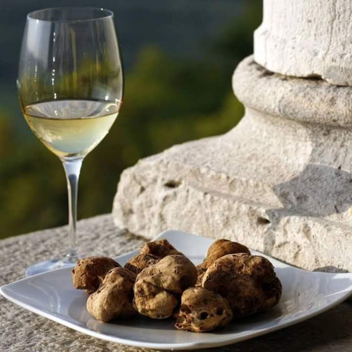 I sapori di una volta - Tartufo Bianco Pregiato - (Magnatum Pico) - TARTUFI