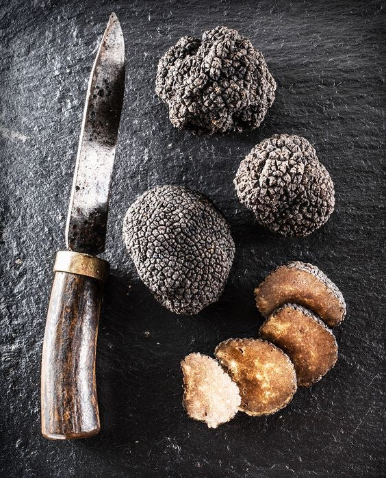 Tartufo Nero Scorzone (Tuber Aestivum)