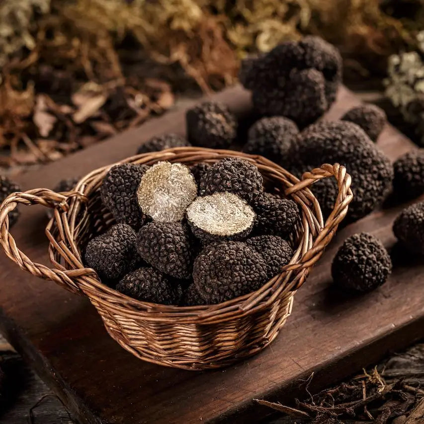 Tartufo Nero Scorzone (Tuber Aestivum)
