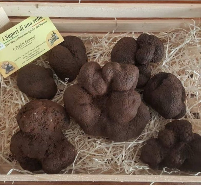 I sapori di una volta - Tartufo Nero pregiato (Tuber Melanosporum) - TARTUFI