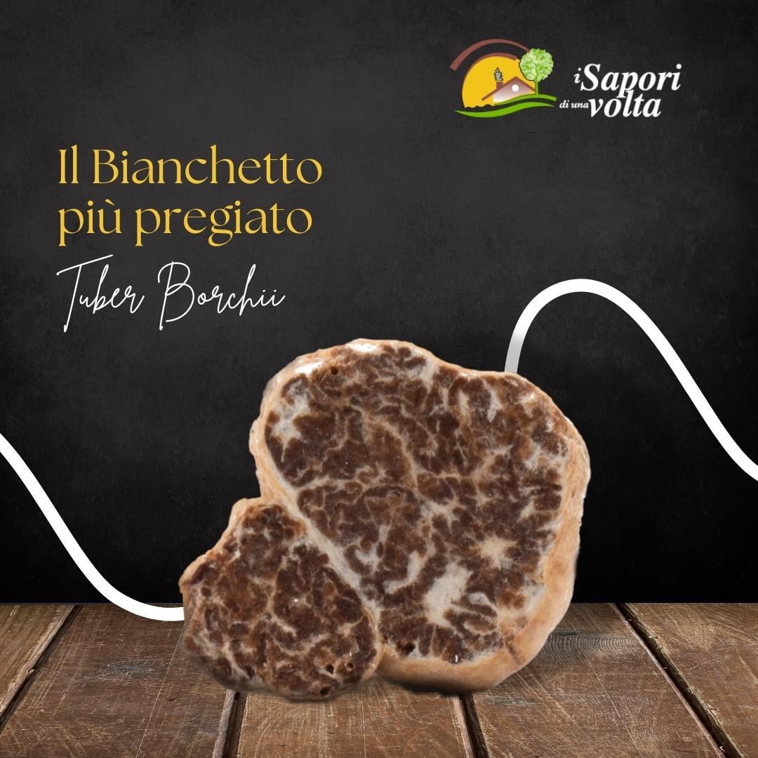 I sapori di una volta - Tartufo Bianchetto di Sabbia (Tuber Borchii) - TARTUFI