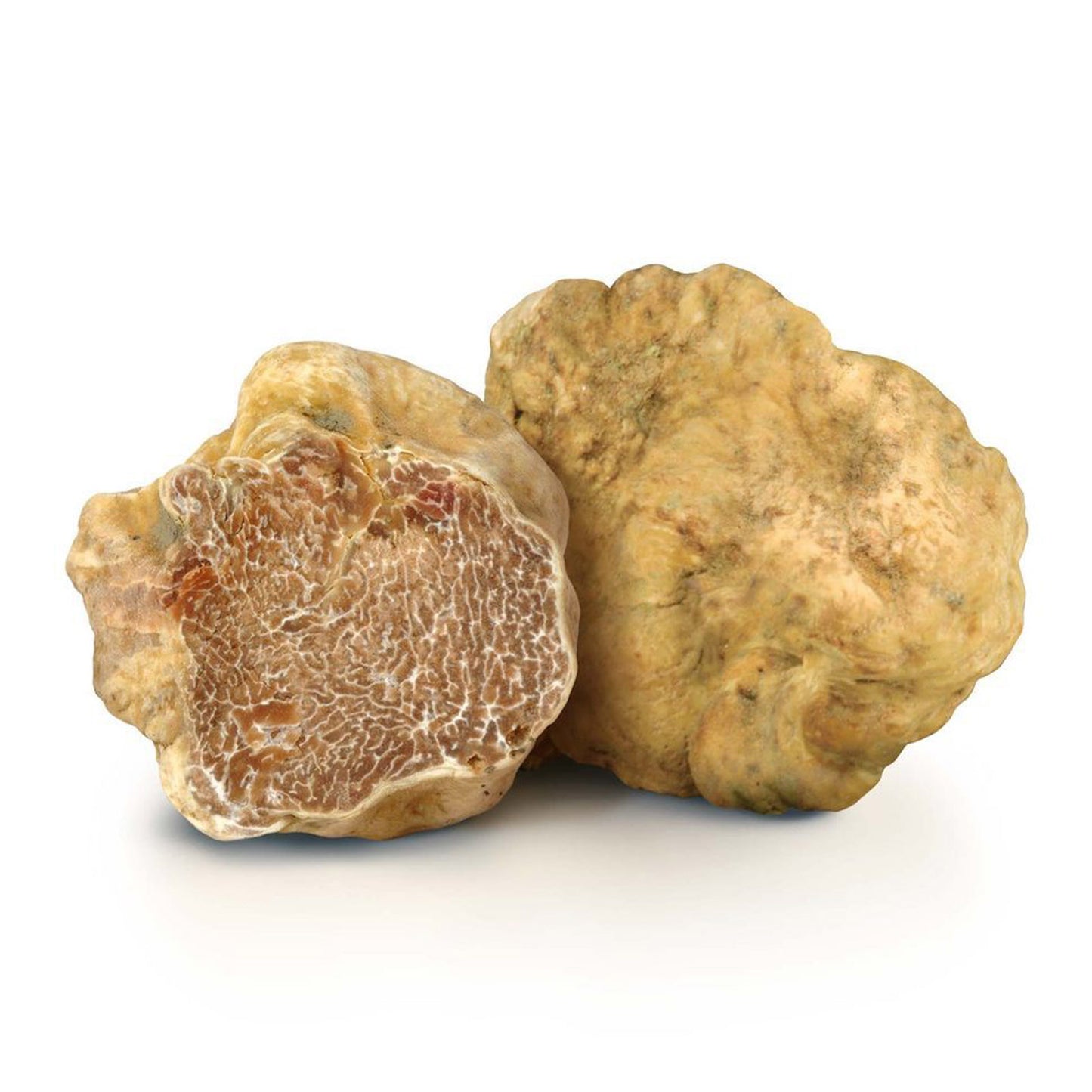 I sapori di una volta - Tartufo Bianco Pregiato - (Magnatum Pico) - TARTUFI