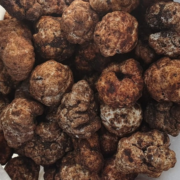 I sapori di una volta - Tartufo Bianchetto di Sabbia (Tuber Borchii) - TARTUFI
