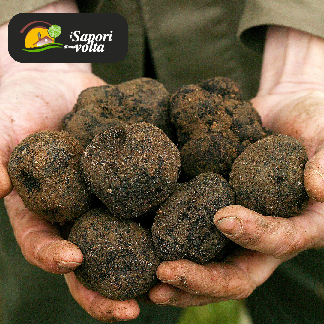 I sapori di una volta - Tartufo Nero pregiato (Tuber Melanosporum) - TARTUFI