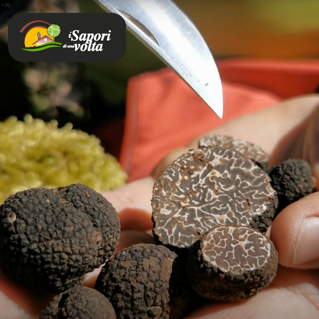 I sapori di una volta - Tartufo nero (Tuber Brumale) - TARTUFI