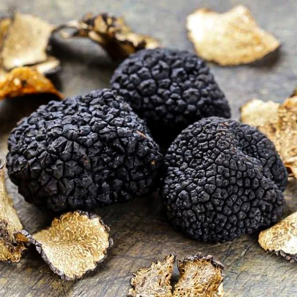 Black Truffle Box - Black Truffle Box