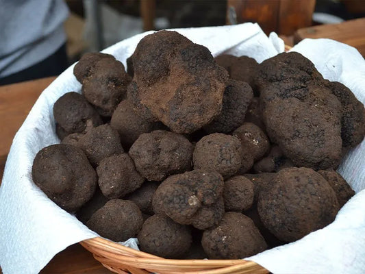 I sapori di una volta - Tartufo nero di Bagnoli Irpino (Tuber Mesentericum) - TARTUFI