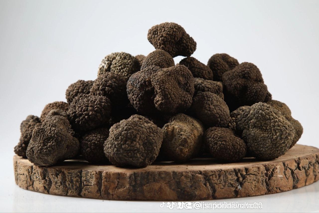 I sapori di una volta - Tartufo Nero Scorzone (Tuber Aestivum) - TARTUFI